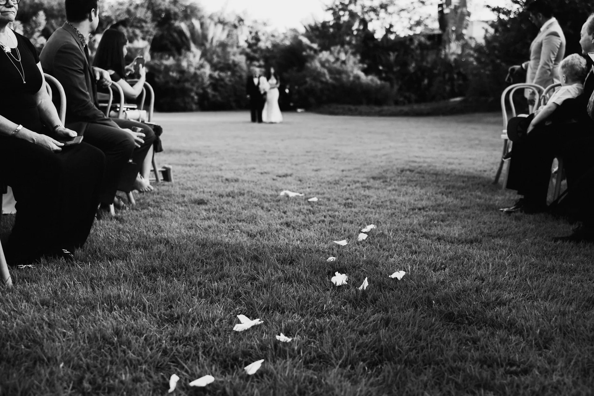 Momento en blanco y negro en el pasillo con pétalos cayendo